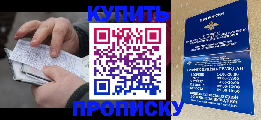 временная регистрация недорого в Марий Эл